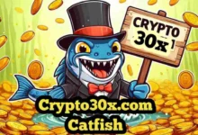 Crypto30x.com Catfish