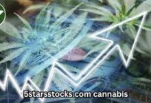 5StarsStocks.com Cannabis